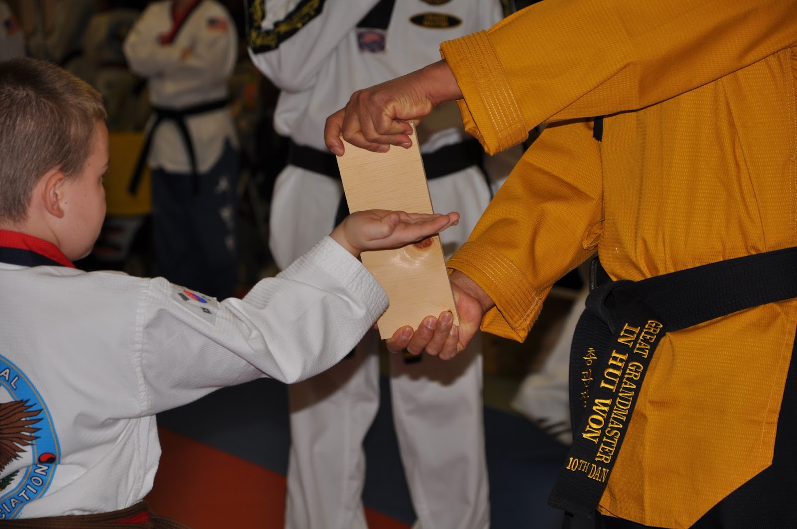 Little Dragons at Grand Master Won's Taekwondo